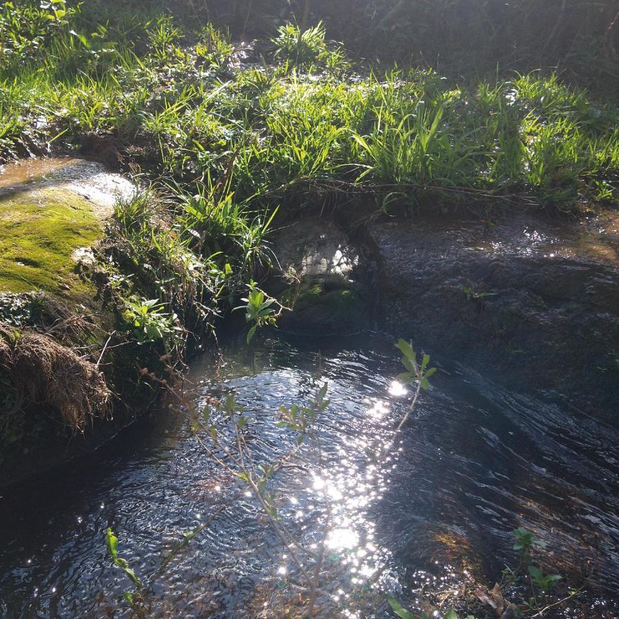 Yahoo Ecolodge Rio Rufino Eksteriør billede