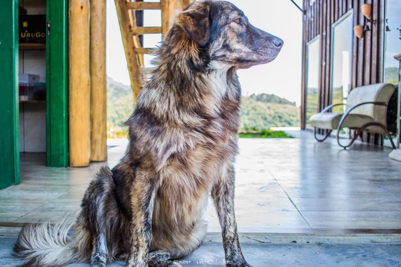 Yahoo Ecolodge Rio Rufino Eksteriør billede